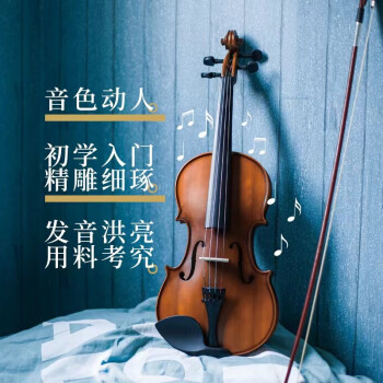 德鲁大叔木质小提琴初学者专业演奏学生成人男女手工琴儿童小提琴入门枣红色	